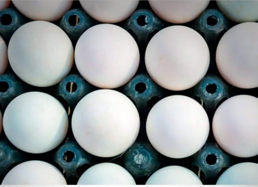 Huevos